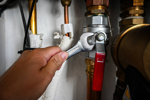 Best Local Plumber Services  in Wailea, HI